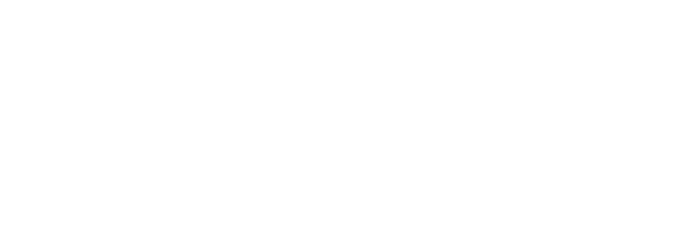 King Electric